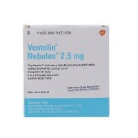 Ventolin Nebules 2.5mg - GlaxoSmithKline (Anh)