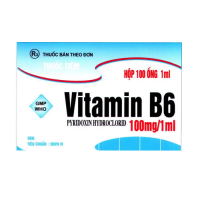 Vitamin B6 100 mg/1 ml - Dược phẩm TW 2