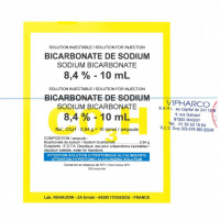 NATRI BICACBONATE RENAUDIN 8,4%