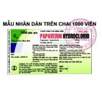 Papaverin hydroclorid – Thuốc chống co thắt, DPTW 2