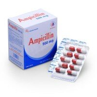 Ampicillin 500mg - Domesco