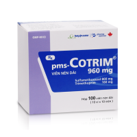 pms Cotrim 960 mg - Dược phẩm IMEXPHARM