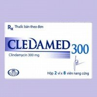 CLEDAMED 300 – Glomed Việt Nam