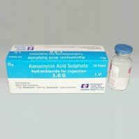 Kanamycin acid sulphate for injection - Ấn Độ