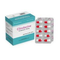 Clindacine - Dược phẩm Vĩnh Phúc