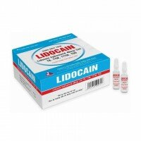 Lidocain - Vinphaco